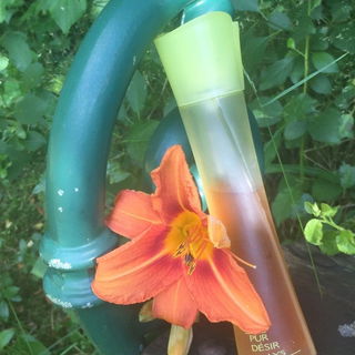 Pur Désir de Lys - Yves Rocher