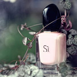Sì (Fiori Eau de Parfum) - Giorgio Armani