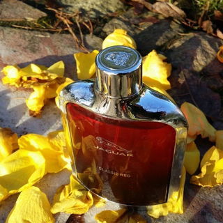 Oriental Essence - Sultan de Muscat - Rituals
