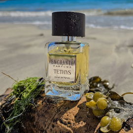 Marzocco (Eau de Parfum) - Roberto Ugolini