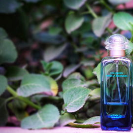 Un Jardin après la Mousson - Hermès