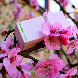 Style Pastels Blush Pink - Jil Sander