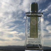 Ich danke euch für die Auszeichnungen 🫶🏼. Die letzten drei Fotos wurden abgelehnt, obwohl sie viel schöner und kreativer als dieses waren  🤷🏻‍♀️ (von Taunusblume)