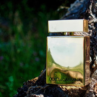 The One for Men Gold - Dolce & Gabbana