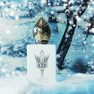 🩵❄️ Zum Einkuscheln in kalten Zeiten ❄️🩵 Herzlichen Dank 🩵