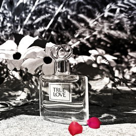 True Love (Parfum) - Elizabeth Arden