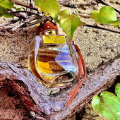 auch nomaden müssen ruhen.. (by Krapnek)