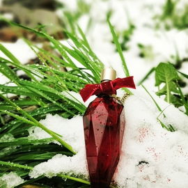 *Aprilschnee* (1)