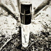 Phantom der kalifornischen Wüste (von Floyd)