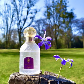 Insolence (Eau de Parfum) - Guerlain