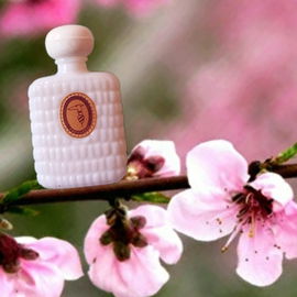 Trussardi Donna (1982) (Eau de Toilette) - Trussardi