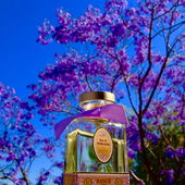 Jacaranda Baum (by Irini)