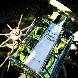 Antilope (Parfum) - Weil