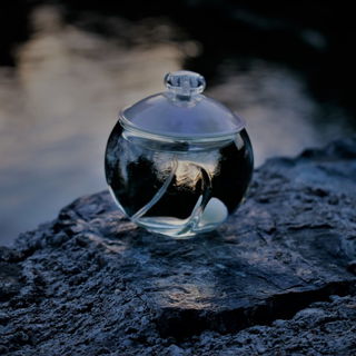 Noa (Eau de Toilette) - Cacharel