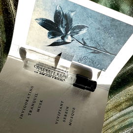 Concrete Rain - AllSaints