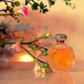 Ganz lieben Dank an alle für die schönen Rückmeldungen und die vielen Fotoklicks ! (von MadameLegras)