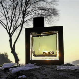 He Wood Rocky Mountain Wood - Dsquared²