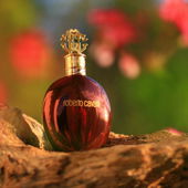 Auf dem Flohmarkt einen riesigen Oud-Splitter ergattert! :) (von Agrafena)