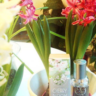 Un Matin au Jardin - Cerisier en Fleurs - Yves Rocher