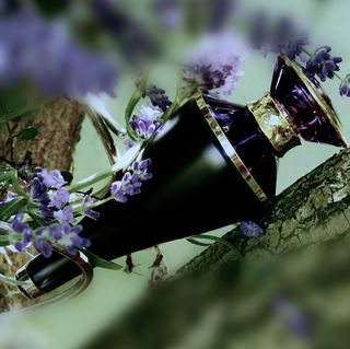 ~ die Natur kann von keinem belehrt werden, sie weiß immer das Richtige ~ Hippokrates*****ich danke euch sehr******