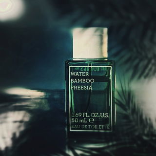 Im sanften Silberlicht des Mondes ...