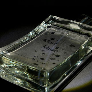 Musc - Réminiscence