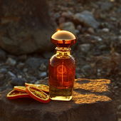 Licht im Dunkeln - rote Sonne im Winter (von Voula)