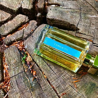 Timbuktu by L'Artisan Parfumeur