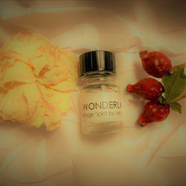 Vintage Spirit - Wonderland - Urban Scents