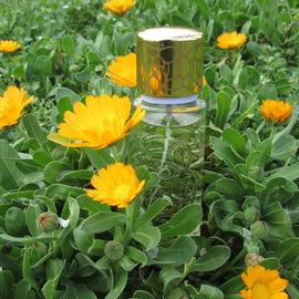 Quelques Fleurs Jardin Secret (Eau de Parfum) - Houbigant