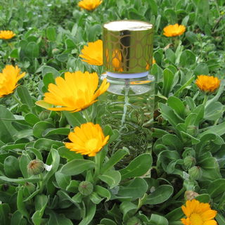 Quelques Fleurs Jardin Secret (Eau de Parfum) - Houbigant