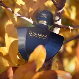 Shalimar Souffle Intense - Guerlain