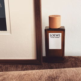 Loewe pour Homme (Eau de Toilette) - Loewe