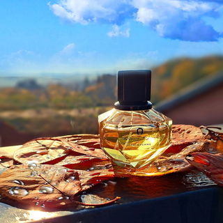 Etienne Aigner pour Femme von Aigner