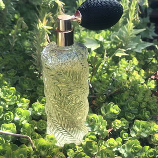 Aqua Allegoria Forte Rosa Rossa - Guerlain