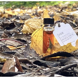 auf dem Herbstweg
