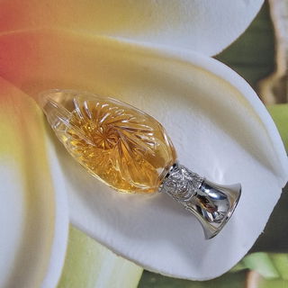 Safari (Eau de Parfum) von Ralph Lauren