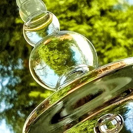 Natur im Großen und Kleinen, oben und unten 🌳