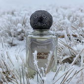 Eiswind & Nebel. (von UntermWert)