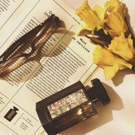 Buch: Narcissus in Perfumery