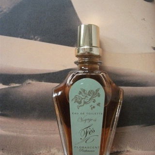 Classic Collection: Voyage à Fès - Florascent