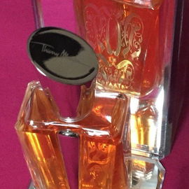 Miroir Miroir - Miroir des Majestés - Mugler