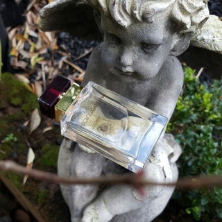 Dolce & Gabbana pour Femme (2012) (Eau de Parfum) - Dolce & Gabbana