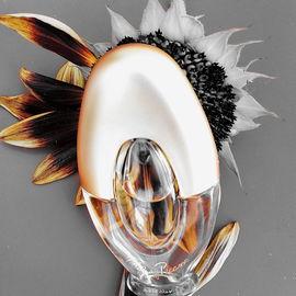 Paloma Picasso (1995) (Eau de Toilette) - Paloma Picasso