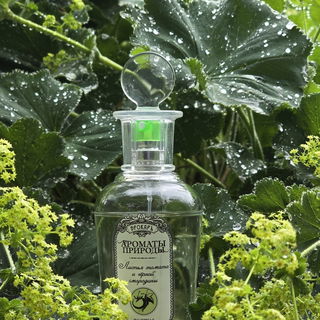 Aromaty prirody - List'ya tomata i chernoy smorodiny / Ароматы природы - Листья томата и черной смородины by Brocard / Брокард