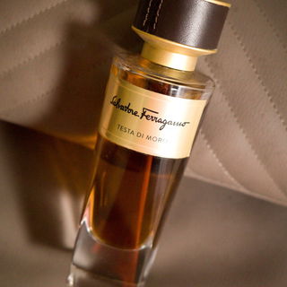 Testa di Moro / Tuscan Scent - Incense Suede von Salvatore Ferragamo