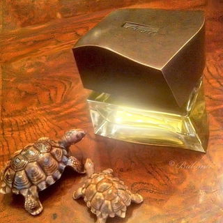 Brioni (Eau de Toilette) von Brioni