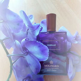 Vanille (Eau de Parfum) - Molinard