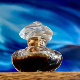Orchidée Bleue (Parfum) - Corday