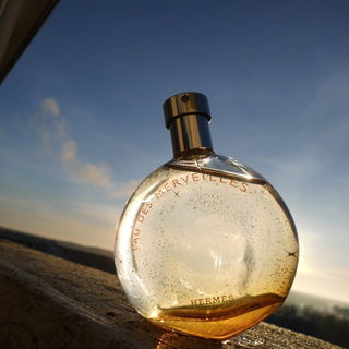 Eau des Merveilles (Eau de Toilette) von Hermès
